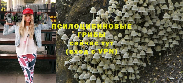 2c-b Алзамай