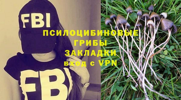 2c-b Алзамай