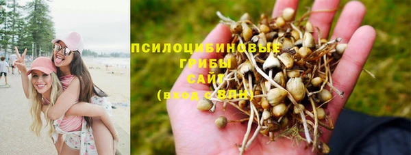 2c-b Алзамай